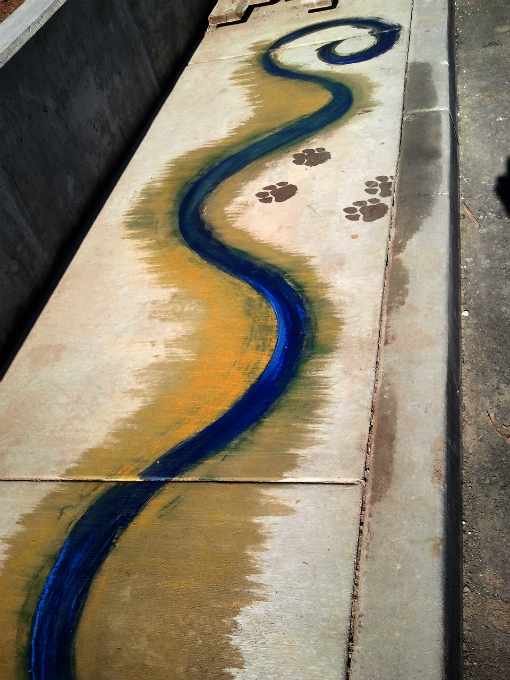 Pigmented River and Paw Prints